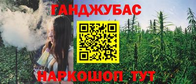 шишки Гагарин