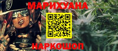 шишки Гагарин