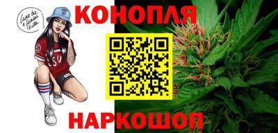 дживик Гатчина