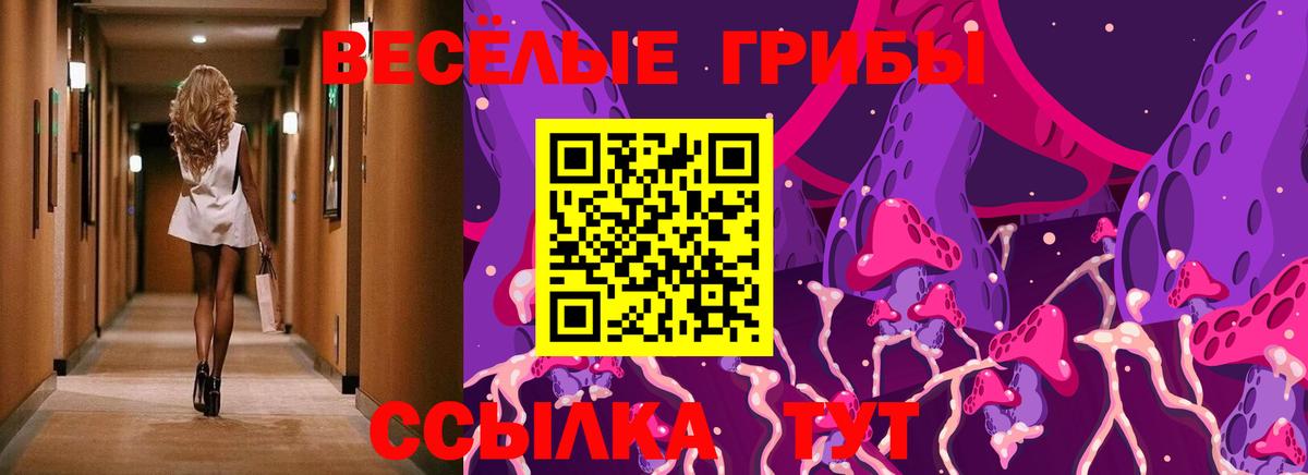 Псилоцибиновые грибы прущие грибы Гулькевичи
